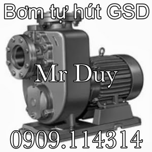 Bơm tự hút trục ngang GMP